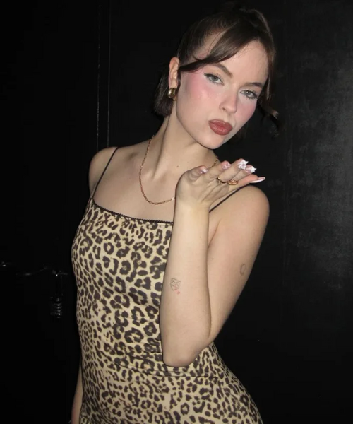 Sexy Leopard Tube Dress