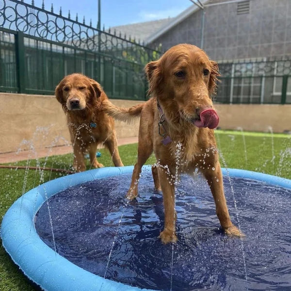 Pup-N-Pals Splash Pad