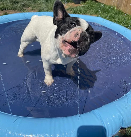 Pup-N-Pals Splash Pad