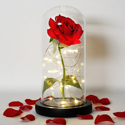 Enchanted Forever Rose